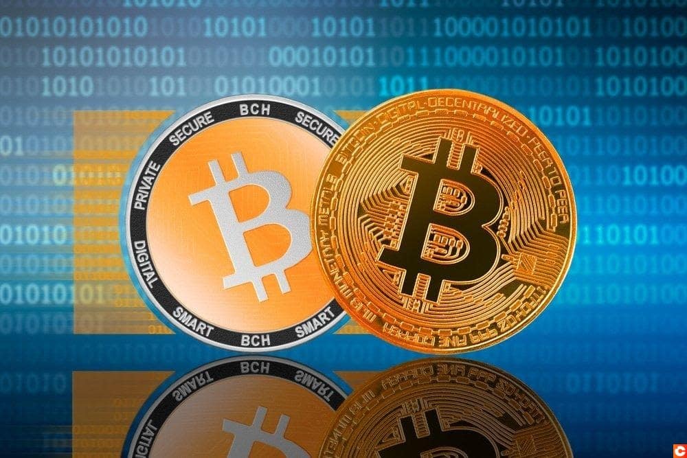 Descubra Bitcoin Cash (BCH), el primo más famoso de Bitcoin