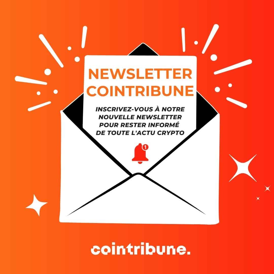 Newsletter 151