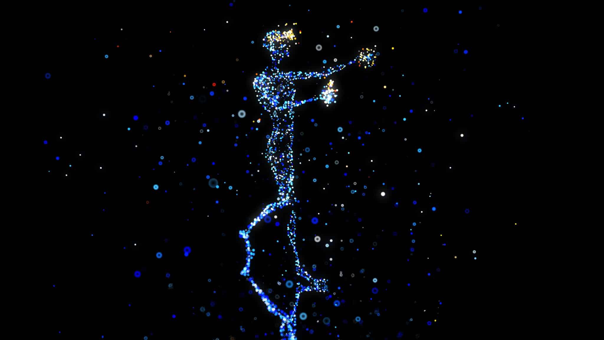 The metaverse