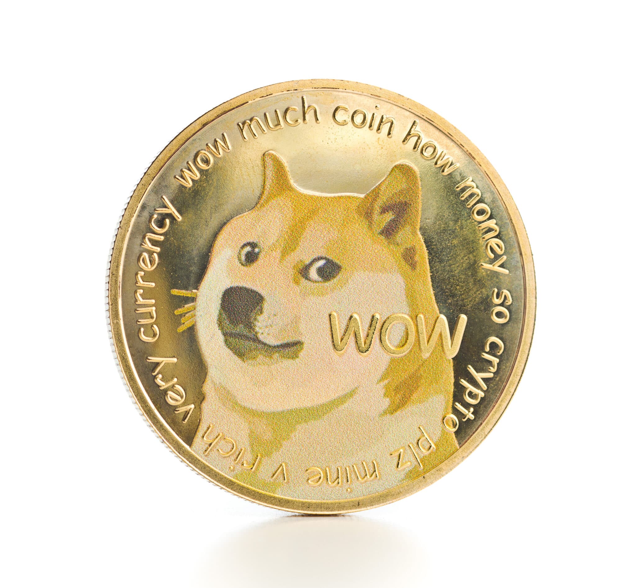 DOGECOIN DOGE