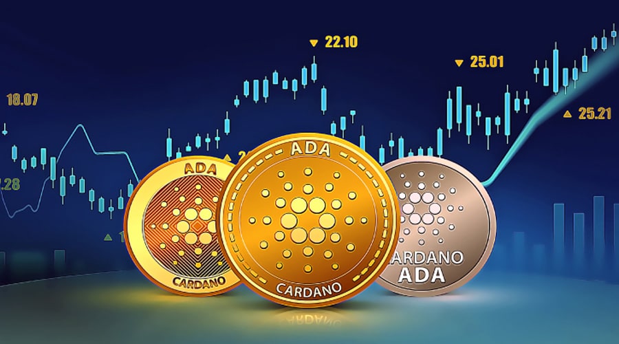 cardano mise a niveau