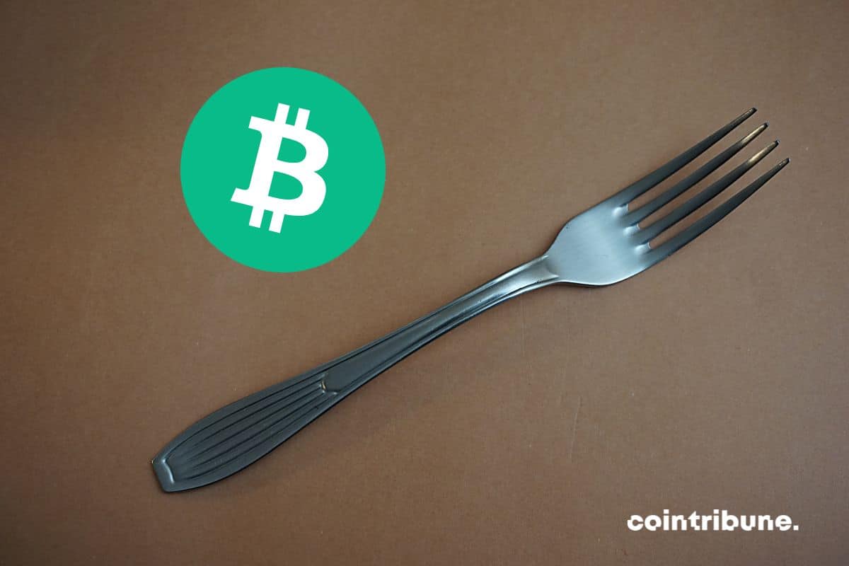 Fork with Bitcoin Cash logo on brown background