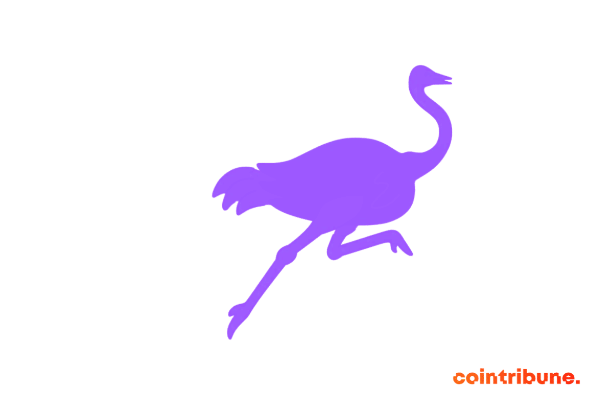 Nostr logo