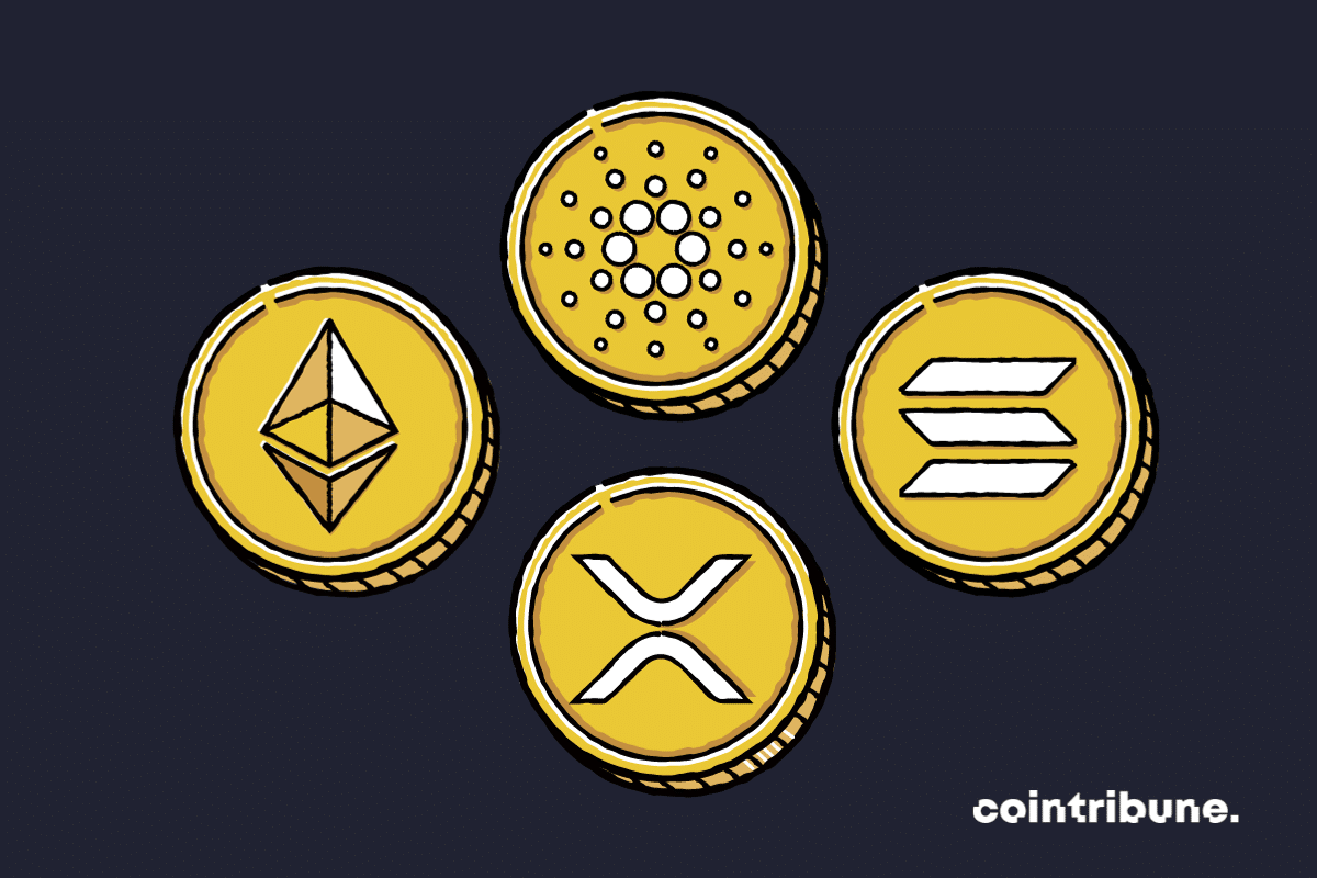 Les logos de certains altcoins dont l'ADA, le XRP, le SOL et l'ether