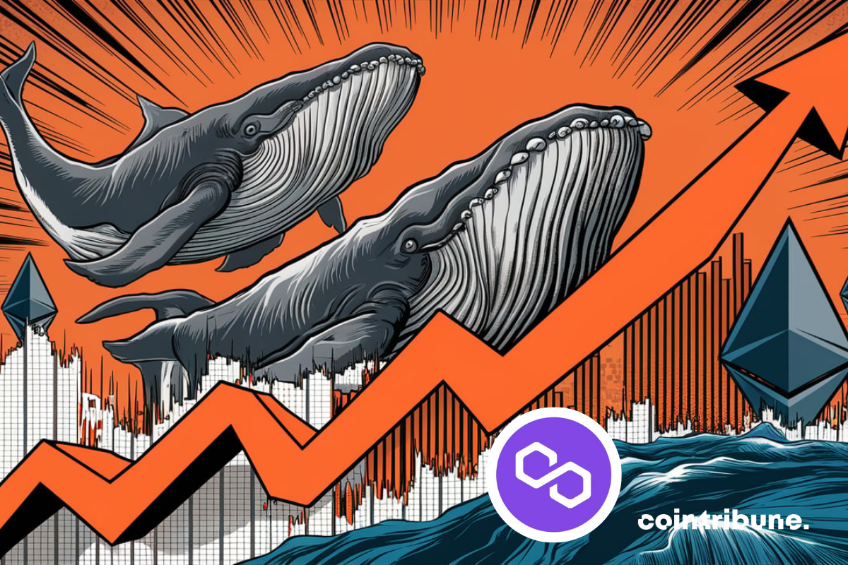 Whales