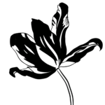 Mary B. avatar
