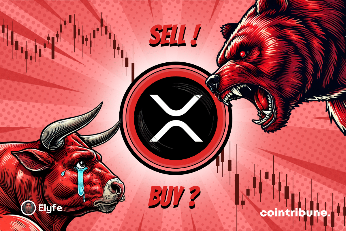 XRP logo on a blue or red background, with a bear and a blue bull with expressive eyes on either side. A graphic appears in the background.