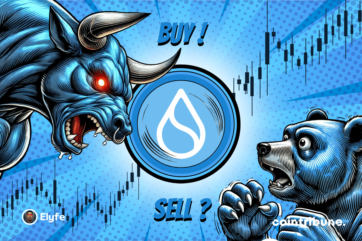 SUI logo on a blue or red background, with a bear and a blue bull with expressive eyes on either side. A graphic appears in the background.