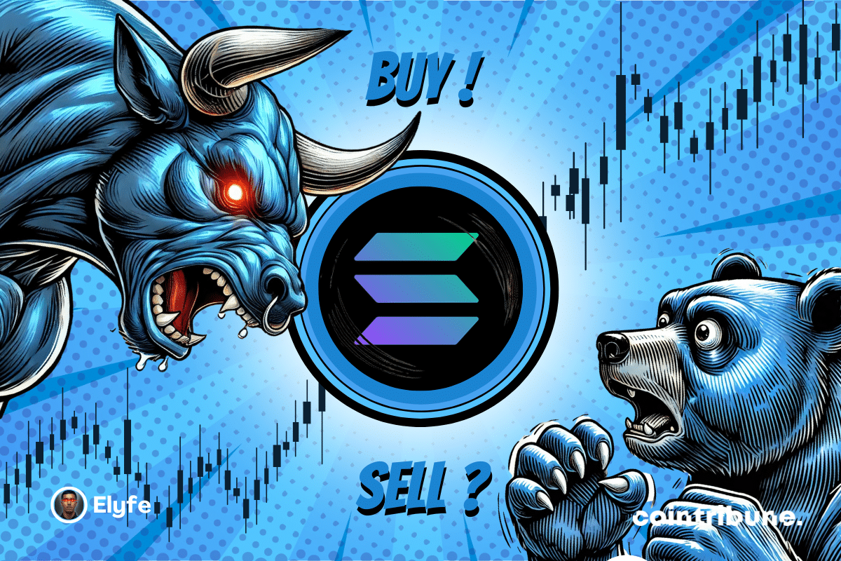 SOL logo on a blue or red background, with a bear and a blue bull with expressive eyes on either side. A graphic appears in the background.
